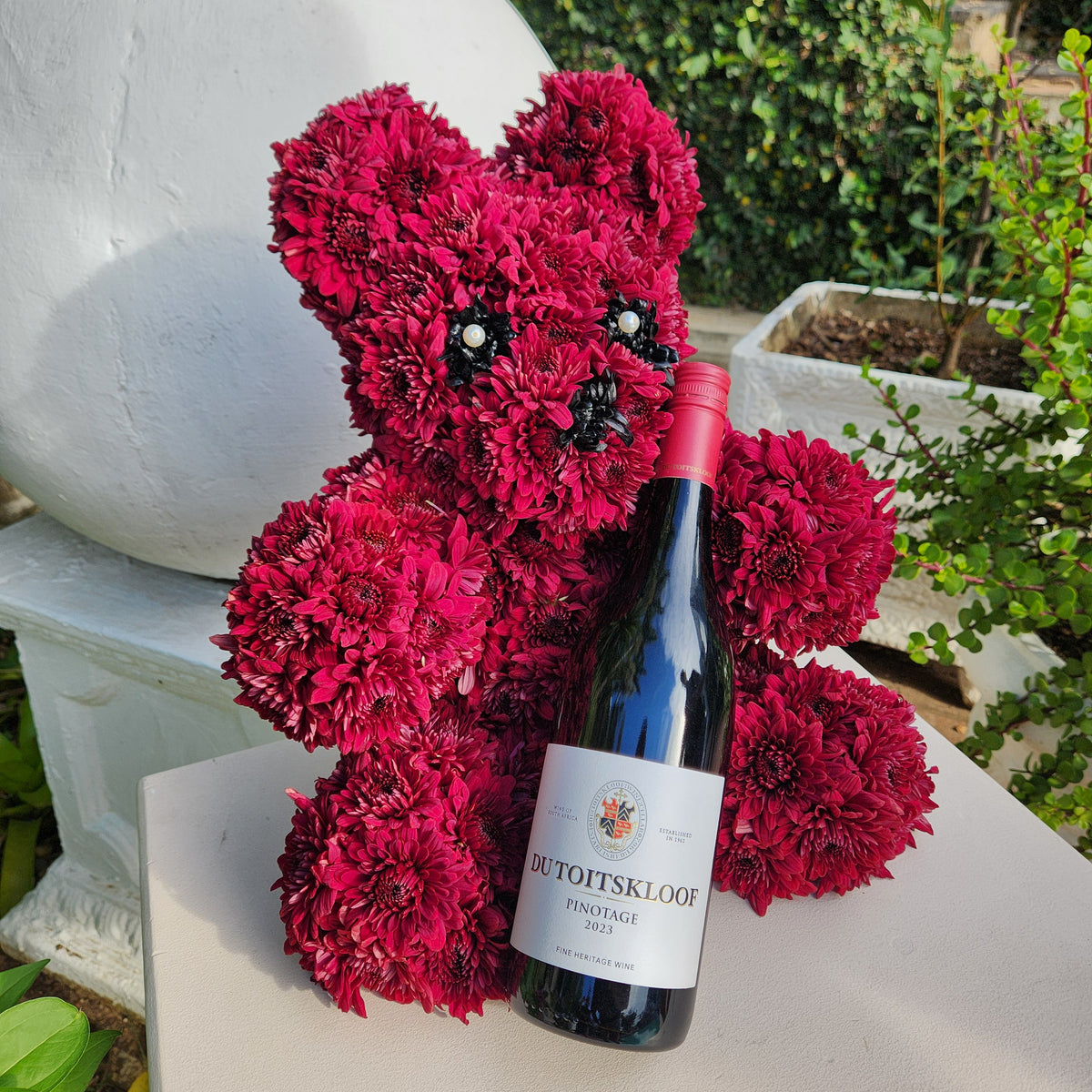 Red Teddy Bear